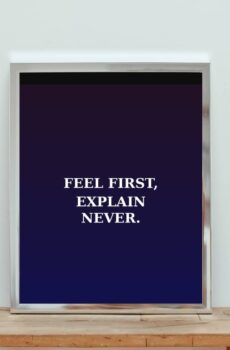 Instinct over explanation